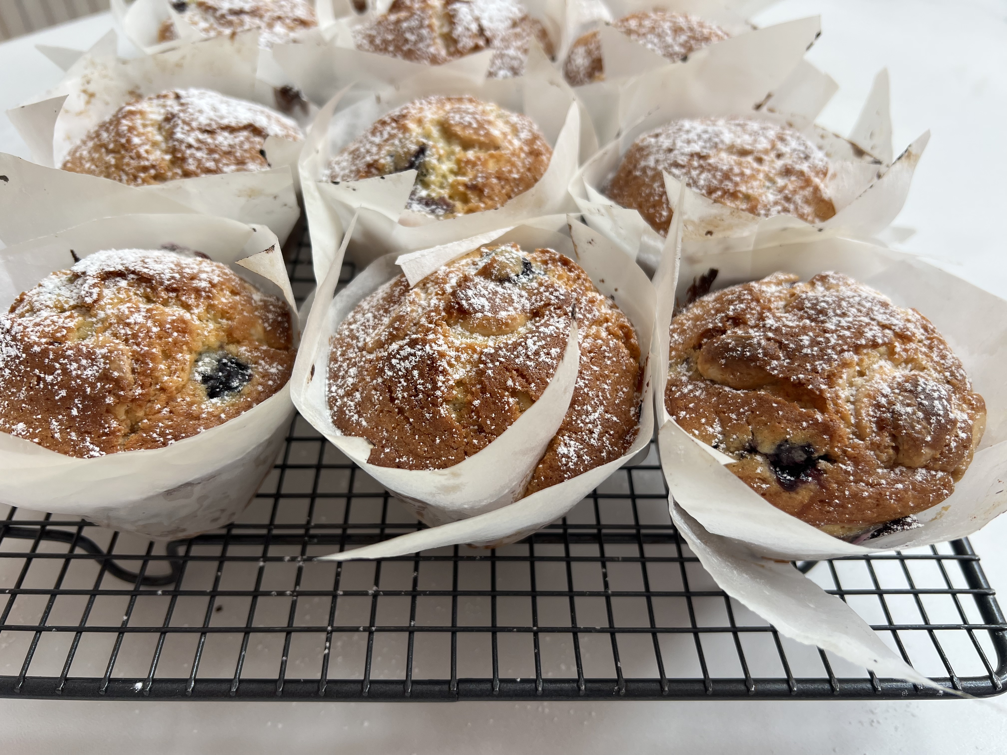 Blueberry White Chocolate Cafe-Style Muffins 🫐